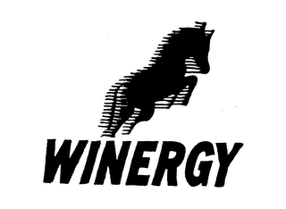 WINERGY logo