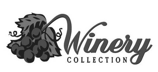 WINERY COLLECTION logo