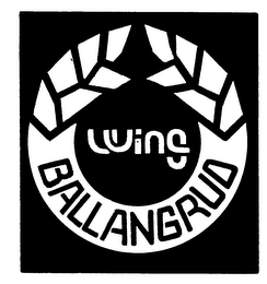 WING BALLANGRUD logo
