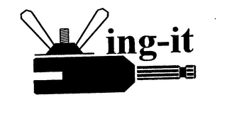 WING-IT logo