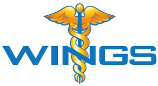 WINGS logo