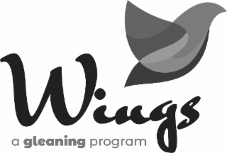 WINGS  A GLEANING PROGRAM logo
