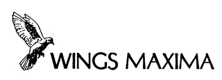 WINGS MAXIMA logo