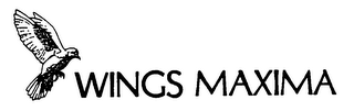 WINGS MAXIMA logo