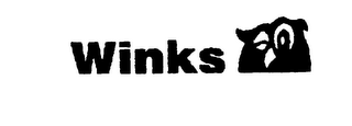 WINKS logo
