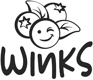 WINKS logo