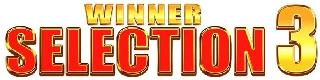 WINNER SELECTION 3 logo