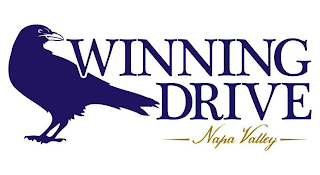 WINNING DRIVE NAPA VALLEY logo