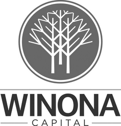 WINONA CAPITAL logo