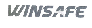 WINSAFE logo