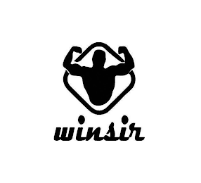 WINSIR logo