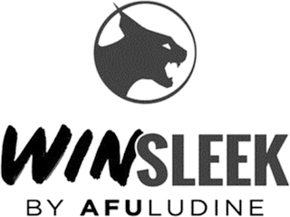 WINSLEEK BY AFULUDINE logo