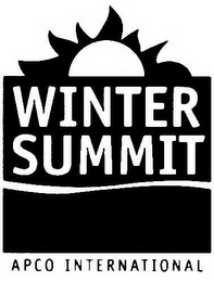 WINTER SUMMIT APCO INTERNATIONAL logo