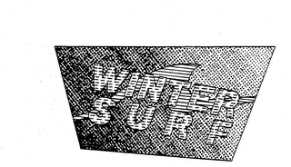 WINTER SURF logo