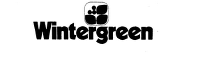 WINTERGREEN logo
