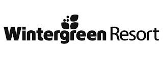 WINTERGREEN RESORT logo