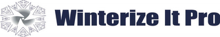 WINTERIZE IT PRO logo