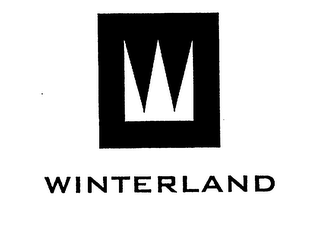 WINTERLAND logo