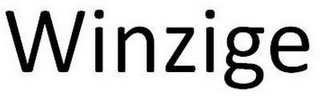 WINZIGE logo