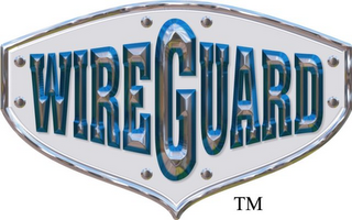 WIREGUARD logo