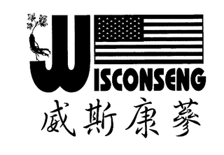 WISCONSENG logo