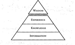 WISDOM EXPERIENCE KNOWLEDGE INFORMATION logo