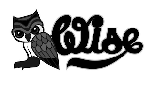 WISE logo