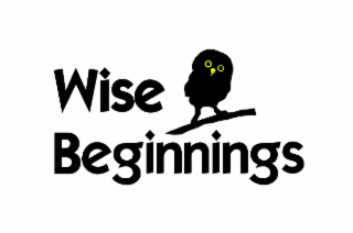 WISE BEGINNINGS logo