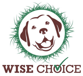 WISE CHOICE logo