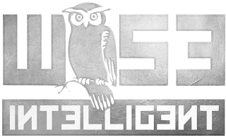 WISE INTELLIGENT logo