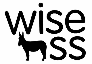 WISE SS logo
