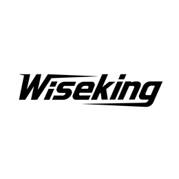 WISEKING logo