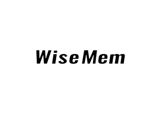 WISEMEM logo