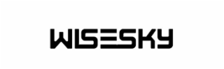 WISESKY logo