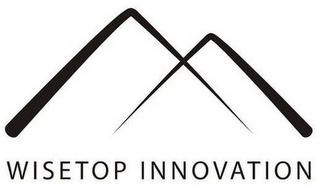 WISETOP INNOVATION logo