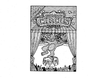 WISSOLL GUMMY CIRCUS TANZBAR logo