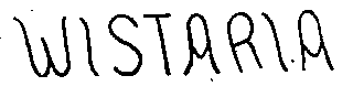 WISTARIA