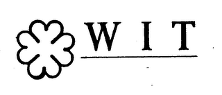 WIT logo