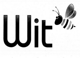 WIT logo