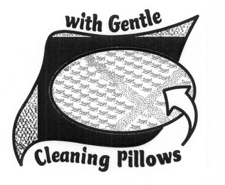 WITH GENTLE CLEANING PILLOWS logo