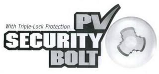 WITH TRIPLE-LOCK PROTECTION PV SECURITY BOLT logo