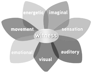 WITNESS IMAGINAL SENSATION AUDITORY VISUAL EMOTIONAL MOVEMENT ENERGETIC logo