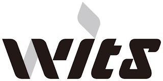 WITS logo