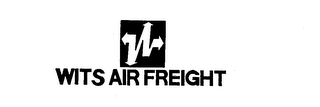 WITS AIR FREIGHT logo