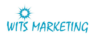 WITS MARKETING logo