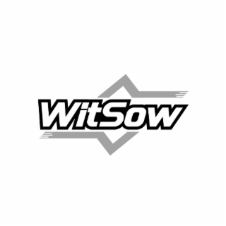 WITSOW logo