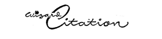 WIZARD CITATION logo