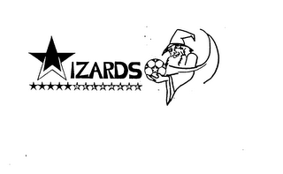 WIZARDS DELAWARE logo