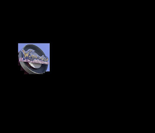 WIZARDS SPORTS CAFE logo