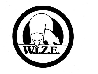 W.I.Z.E. logo